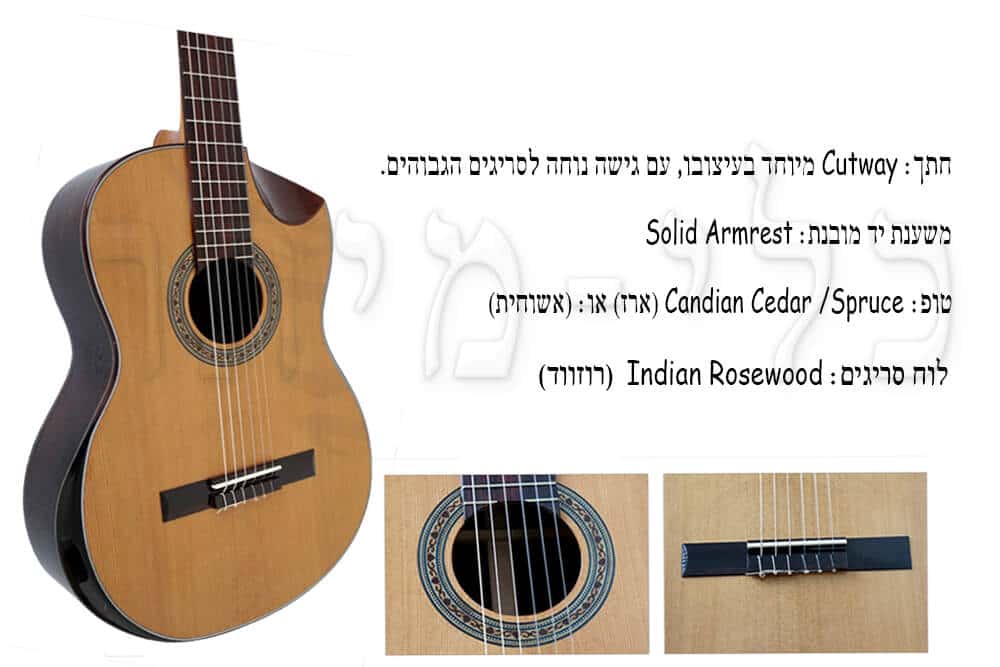 גיטרה מומלצת - החלק הקדמי והגשר