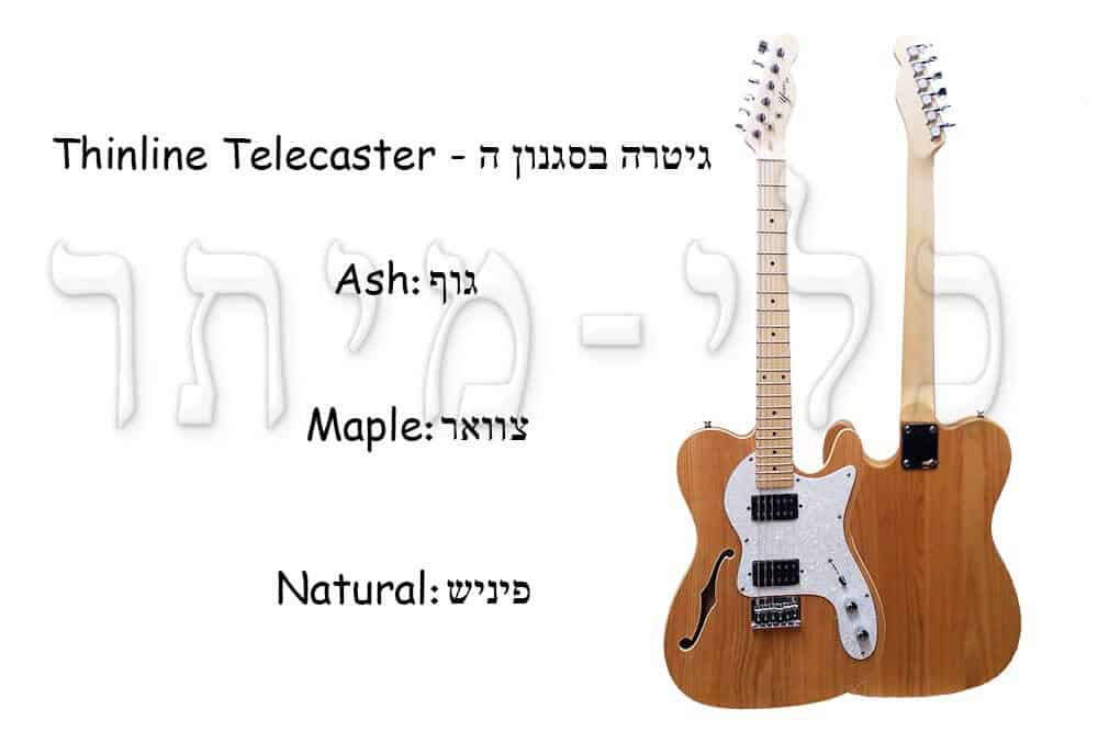 גיטרה חשמלית - Thinline Telecaster - מבנה הגיטרה