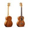 יוקלילי קונצרט - Oriental cherry - W-DDS-UK 24